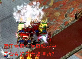 ����ѩ˪�ڴ���˽�����Ƿ�������޵���ҩ��