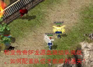 ��䴫��SF��ԴѪ·�����ս��������ö������˳��ͨ�أ�