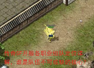 ����SF������ְҵ��Ӷ�λ��⣬˭�Ƕ��鲻�ɻ�ȱ�ĺ��ģ�