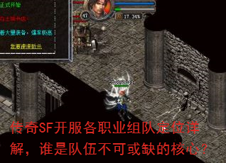 ����SF������ְҵ��Ӷ�λ��⣬˭�Ƕ��鲻�ɻ�ȱ�ĺ��ģ�