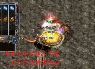 ����˽��20��ս������ְҵ��ָѡ��ָ�ϣ�