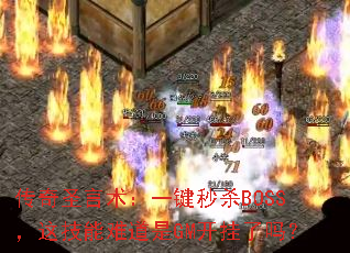 ����ʥ������һ����ɱBOSS���⼼���ѵ���GM��������