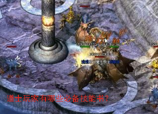��ʿ�������Щ�ر������飿