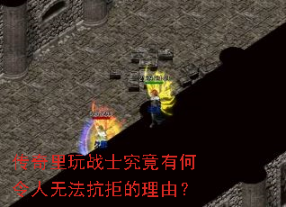 ��������սʿ�����к������޷����ܵ����ɣ�