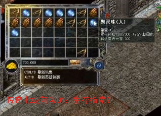 �����߼�ǰ��ʦ������ָ�ϣ�
