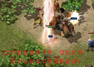 ��ʦְҵ�ݺᴫ�棬���ӷ�����������Ҹ�����ﳤ�̣ܶ�