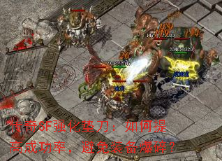 ����SFǿ���浶�������߳ɹ��ʣ�����װ�����飿