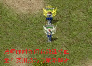 ��ʦPKʱ�����Чά��Ѫ����ʵ�ü�������Խ���