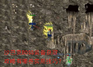ɳ�Ϳ�BOSSװ����ȡ��������Щʵ�ü��ɣ�