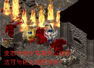 ��̬����������Щ��ս�����������Ĵ�����ʤ��
