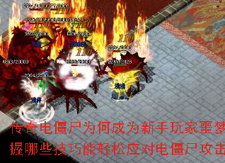 ����罩ʬΪ�γ�Ϊ�������ج�Σ�������Щ����������Ӧ�Ե罩ʬ������