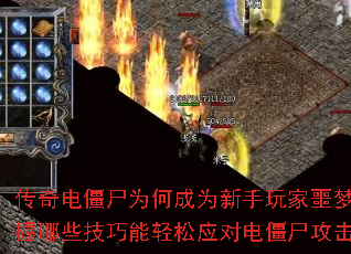 ����罩ʬΪ�γ�Ϊ�������ج�Σ�������Щ����������Ӧ�Ե罩ʬ������