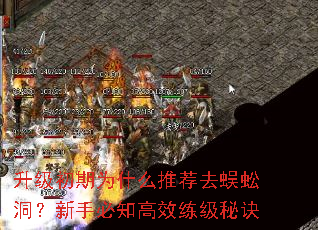 ��������Ϊʲô�Ƽ�ȥ��򼶴�����ֱ�֪��Ч�����ؾ�