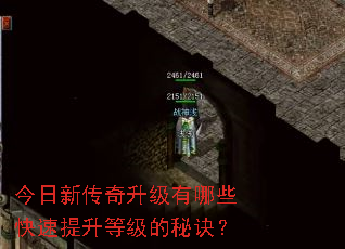�����´�����������Щ���������ȼ����ؾ���
