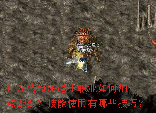 1.76����SF��ʿְҵ��μӵ���װ������ʹ������Щ���ɣ�