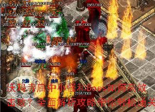 ����������С�ֺ�Boss��θ�Ч���ܣ�ȫ��������Դ�������ͨ��