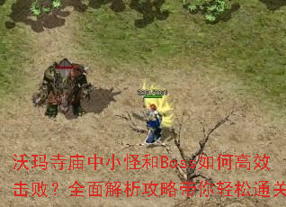 ����������С�ֺ�Boss��θ�Ч���ܣ�ȫ��������Դ�������ͨ��