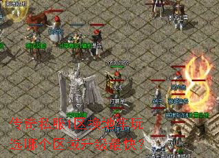 ����˽��1����������ѡ�ĸ�����������죿