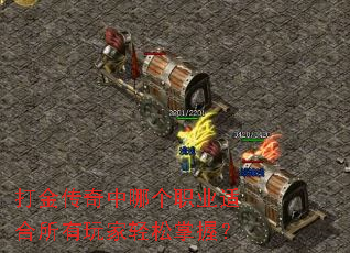 ��������ĸ�ְҵ�ʺ���������������գ�