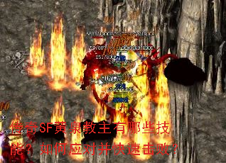 ����SF��Ȫ��������Щ���ܣ����Ӧ�Բ����ٻ��ܣ�