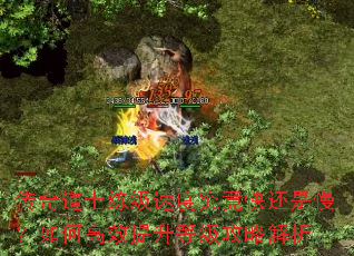 �����ʿ�����ٶȾ����컹��������θ�Ч�����ȼ����Խ���