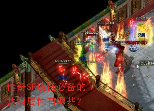 ����SF�����ر��Ĺ�ͬ��������Щ��