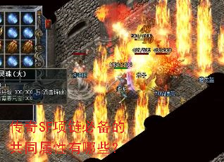 ����SF�����ر��Ĺ�ͬ��������Щ��