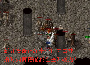 �¿�����sfսʿʹ��������ָʱ��δ�����������ս����