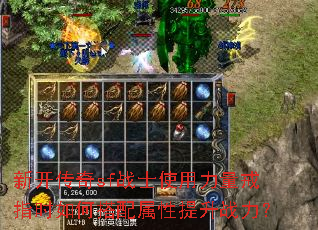 �¿�����sfսʿʹ��������ָʱ��δ�����������ս����