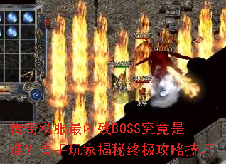 ����˽�����ײ�BOSS������˭��������ҽ����ռ����Լ���