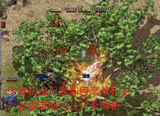 ����˽�������θ�Ч�򱦣��ر������뼼��ȫ����
