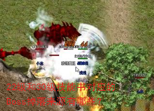 22����30���������Ӧ��Boss������Դ����Щ��