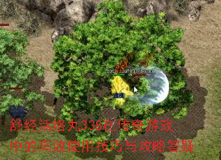 �澭������338�ڴ�����Ϸ�еĸ�Чʹ�ü����빥�Դ���