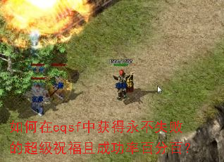 �����cqsf�л������ʧ�ܵĳ���ף���ҳɹ��ʰٷְ٣�