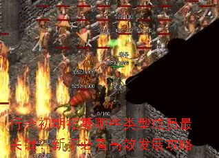�л������ļ��Щ���ͳ�Ա��ؼ������ֱؿ���Ч��չ����