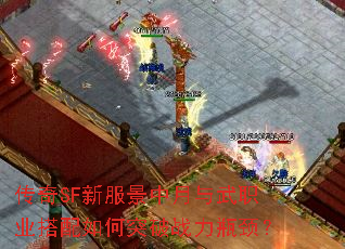 ����SF�·�����������ְҵ�������ͻ��ս��ƿ����