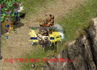 ��Ѫ������԰����ز�����ʲô��