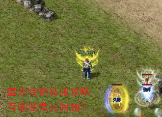 ʢ����˽����������Щ�������⣿