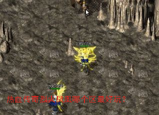 ��Ѫ�����һ����ĸ�������棿