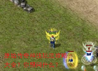 ԭʼ�������淨���Դ�ȫ��������ʲô��