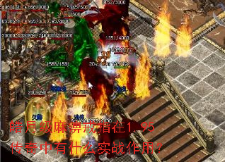 皓月级麻痹戒指在1.95传奇中有什么实战作用? 皓月级麻痹戒指在1.95传奇中有什么实战作用?