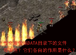 ��������DATAĿ¼�µ��ļ�����Щ�����Ǹ��Ե�������ʲô��