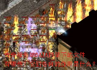 ��������DATAĿ¼�µ��ļ�����Щ�����Ǹ��Ե�������ʲô��