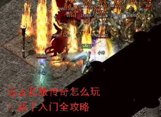 Զ��˽��������ô�棿��������ȫ����