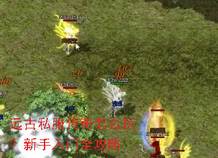 Զ��˽��������ô�棿��������ȫ����