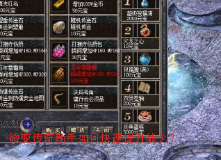 ΢�䴫��������ο�������ս����