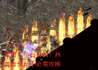 ���ǰ�������ţ���Ѫ�������ֱؿ�����