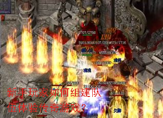 �����������齨�������鴫����Ϸ��