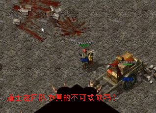 ��ʿ���Ŷ�����Ĳ��ɻ�ȱ��