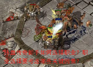 ��Ѫ�����������ѡ��ְҵ��ְҵѡ��Ҫ������Щ�ؼ����أ�